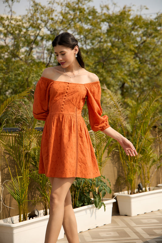 Thank U Next Rust Schiffli Mini Summer Dress for Women